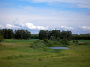 Алейский район