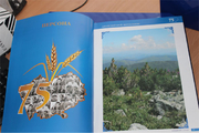 Персоны